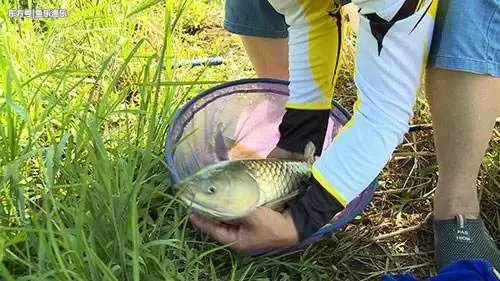 合格釣魚人都會掌握這些知識,看你能及格嗎!
