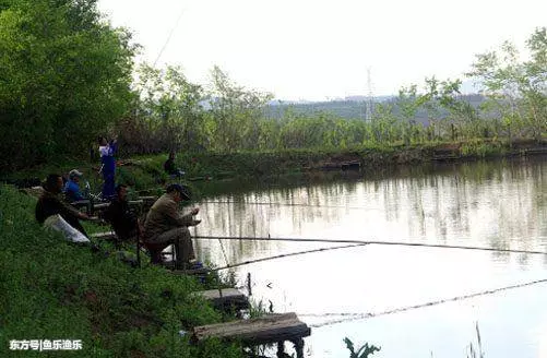 合格釣魚人都會掌握這些知識,看你能及格嗎!