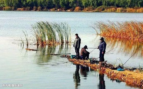 合格釣魚人都會掌握這些知識,看你能及格嗎!