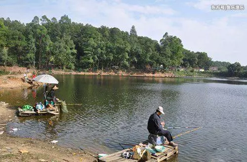 合格釣魚人都會掌握這些知識,看你能及格嗎!