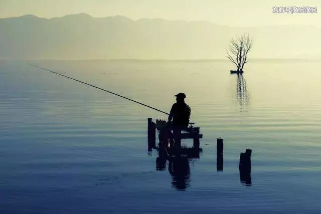 合格釣魚人都會掌握這些知識,看你能及格嗎!