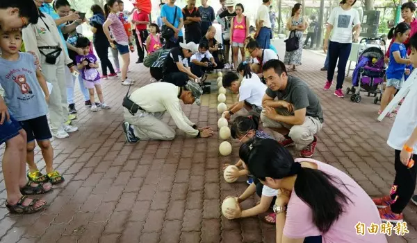 人中竟也能立蛋!端午節史上最白目立蛋 男大生笑翻網友