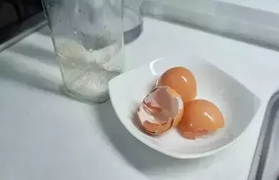 小小蛋殼渾身都是寶 扔掉太可惜了