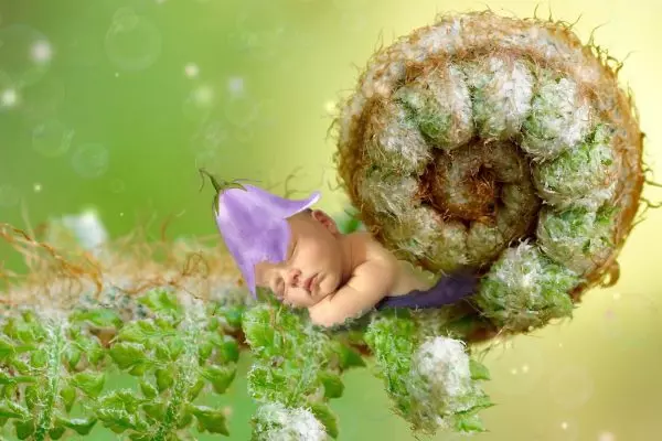 「垃圾睡眠」比失眠還可怕?願您一夜好眠!