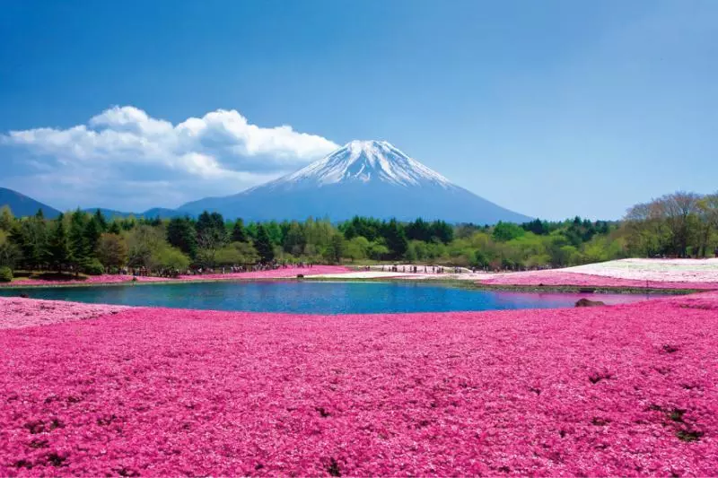 【要去Japan就最好在2019之前去咯!】日本觀光廳宣布將會收取RM3X的出國稅!預計會加在機票和郵輪的船票費用裡面!