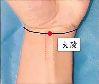 火在肺裡=咳嗽,火在肝裡=失眠,火在胃裡=口臭,看看吧