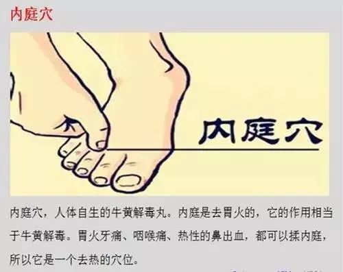 火在肺裡=咳嗽,火在肝裡=失眠,火在胃裡=口臭,看看吧