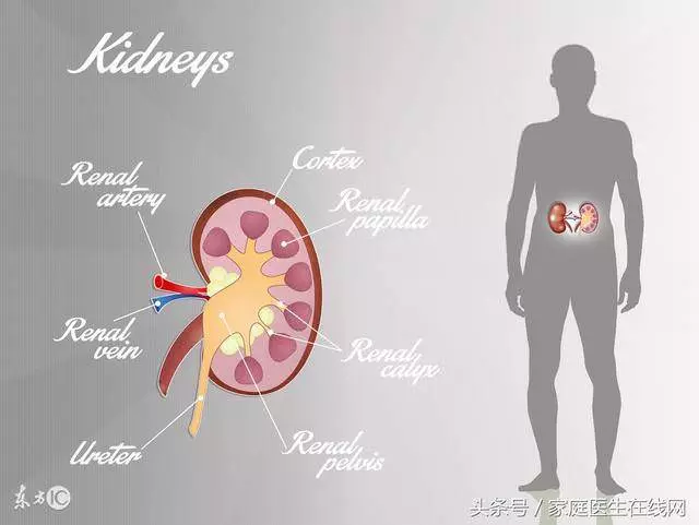 不想洗腎就別亂吃!記得做到「飯後一不要」、「睡前二不要」!