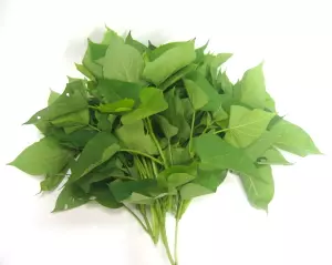 糖尿病飲食怎麼吃 7 種食物助你控制血糖、遠離糖尿病
