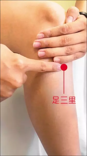呷粽「3不+3要」 養胃不脹氣