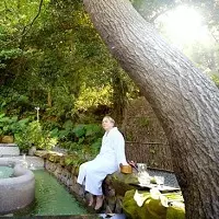 發現機率僅億分之1 加拿大漁民捕獲超夢幻 粉藍龍蝦