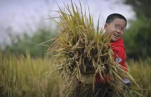 養母將我帶大,生母找上門我只認養母,聽到生母的解釋,我哭了