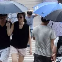 醫衛團體參與國際面臨打壓 監委關切政府是 否積極協處
