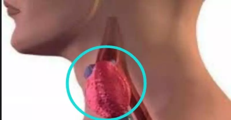 醫生:如果你睡覺時沒有這3種情況,說明你的肝臟非常健康。
