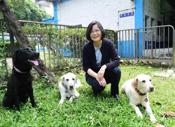 重開IG 小英貼照俏皮問:髮型看得出來誰 是誰吧?