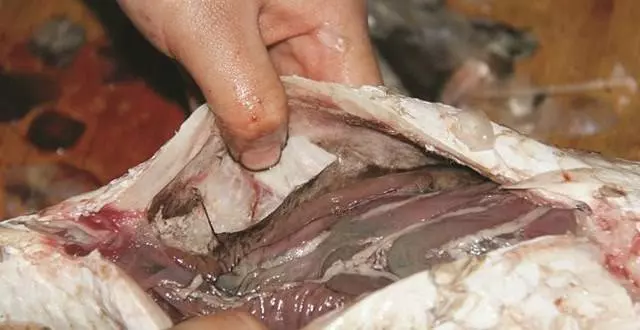醫生警告:這7種肉千萬別再吃了,不然癌症肯定找上門一定要轉告你的家人