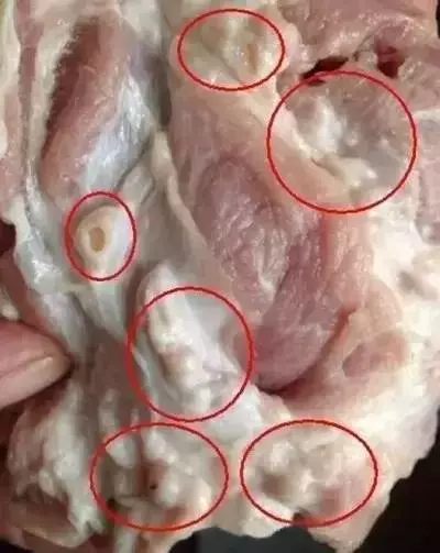 醫生警告:這7種肉千萬別再吃了,不然癌症肯定找上門一定要轉告你的家人