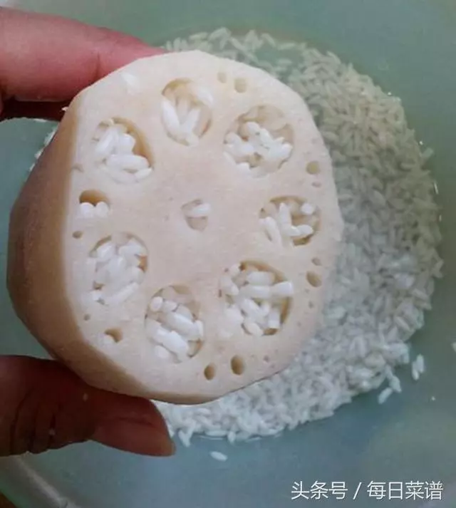 一節蓮藕一把糯米,煮一煮,香甜軟糯,做法簡單有營養,太香了
