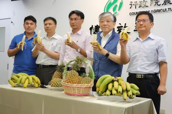 高志明籲政府大量收購冷凍 解決蕉價暴跌問題