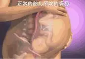 鄧紫棋狠心捨棄皮褲,新造型回歸殺馬特,粉絲:瞬間年輕20歲!
