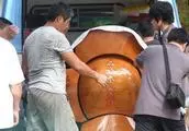 鄧紫棋狠心捨棄皮褲,新造型回歸殺馬特,粉絲:瞬間年輕20歲!