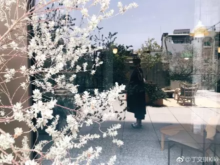 9個月孕肚現形!丁文琪出遊「鏡面反射」曝近況!