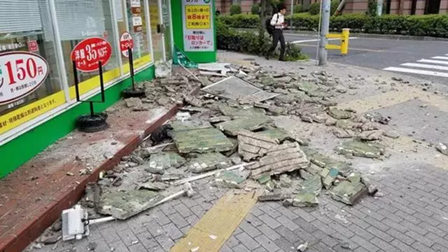 大阪6.1級大地震,京都鹿群離家出走,但貓咪等動物的表現很淡定