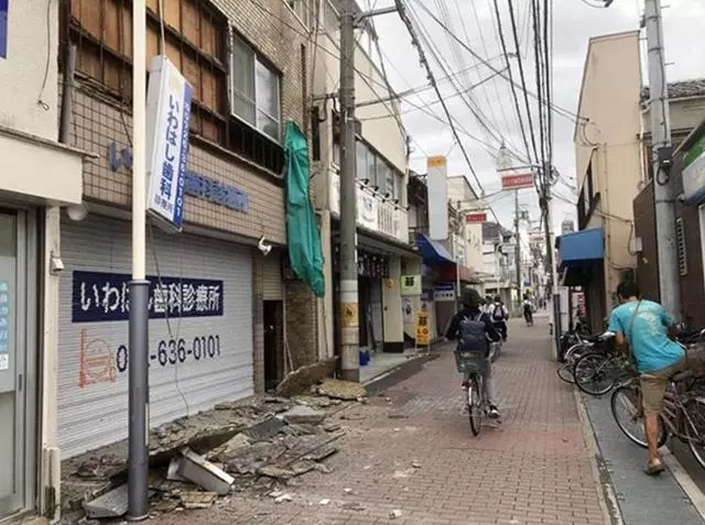 大阪6.1級大地震,京都鹿群離家出走,但貓咪等動物的表現很淡定
