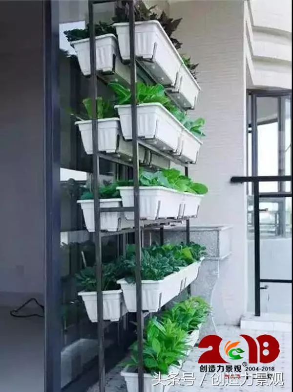 蔬菜種植時間大全,陽台蔬菜種起來!