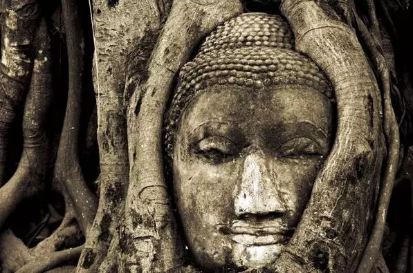 很多人不知道,你的祖先與你的婚姻、事業、財運、後代有著很大的關係!