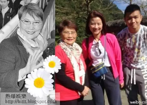 【亞姐嫁得豪】葉玉卿坐擁80億身家 36F利智嫁李連杰唔洗憂 __,李連杰,亞洲小姐,亞姐,利智,葉玉卿,