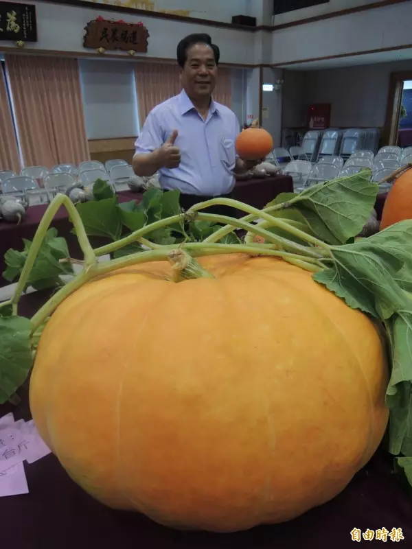 新南瓜王全蔣清 種出925斤大南瓜破全國紀錄!