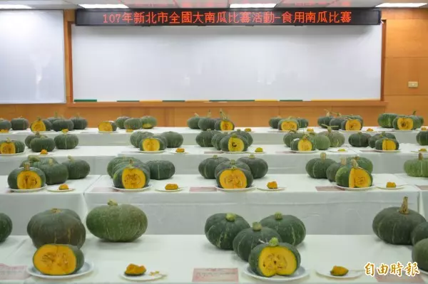新南瓜王全蔣清 種出925斤大南瓜破全國紀錄!