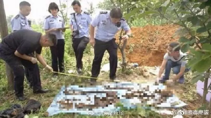 男拿刀辱罵老母 兄弟聯手殺了他...白骨藏地窖14年