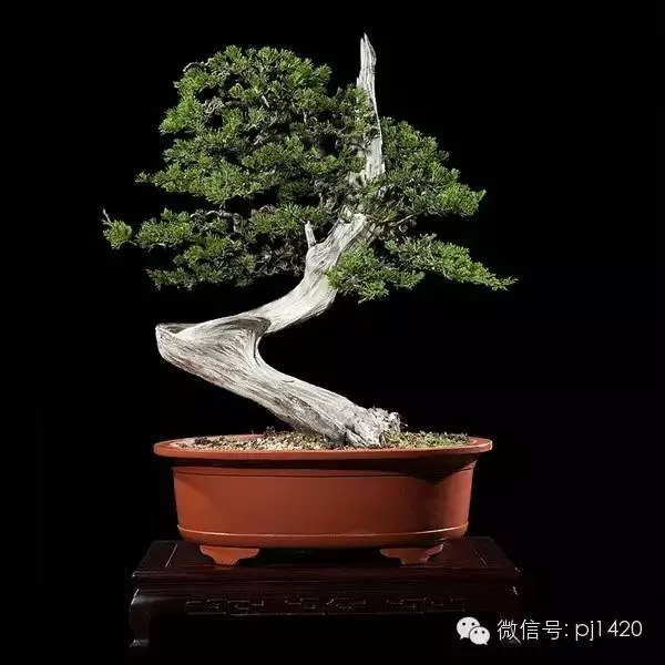 奇妙的舍利製作之談