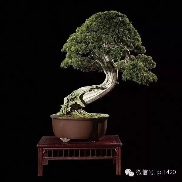 奇妙的舍利製作之談