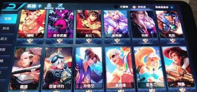 2年的王者玩家只有一個滿熟練度?百萬玩家卻很羨慕!小學生哭了