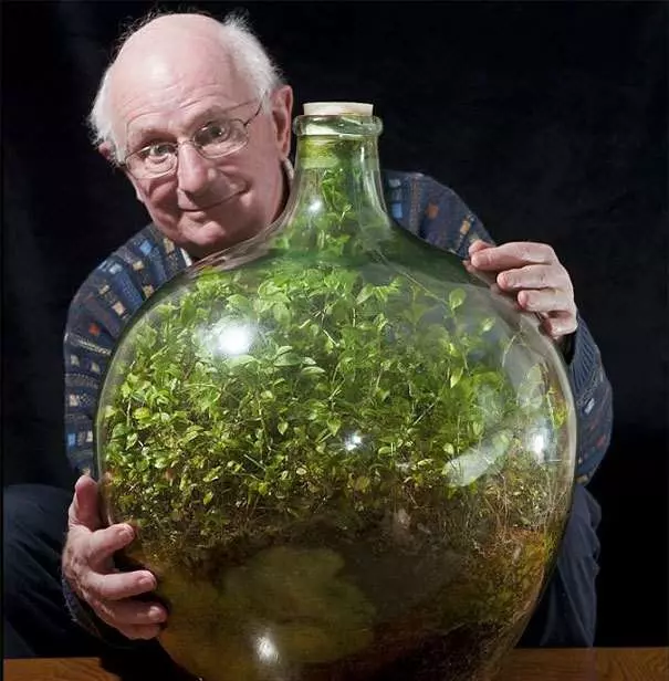 他在密封玻璃瓶中種上植物 58年後成「全球最小生態系」 超神奇