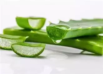 被蚊子咬了不用擦藥,用這個辦法就能瞬間止癢!