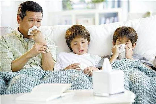 枸杞被稱為「長壽果」,有六大功效,三個禁忌,吃對了效果才更好