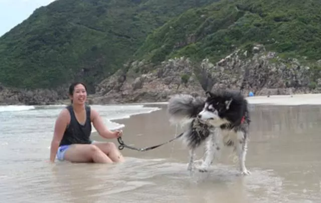 帶狗狗去海邊玩,順勢做了個拍照動作,狗狗竟然現場模仿起主人