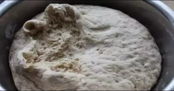 發麵不成功?做出來的饅頭乾硬難吃!那是你「酵母粉」用錯了!教你一招,很快就發好!(附贈10種發麵主食做法)