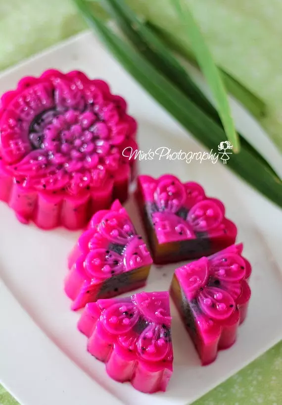 5 個簡易燕菜月餅食譜 Easy Jelly Mooncake Recipes