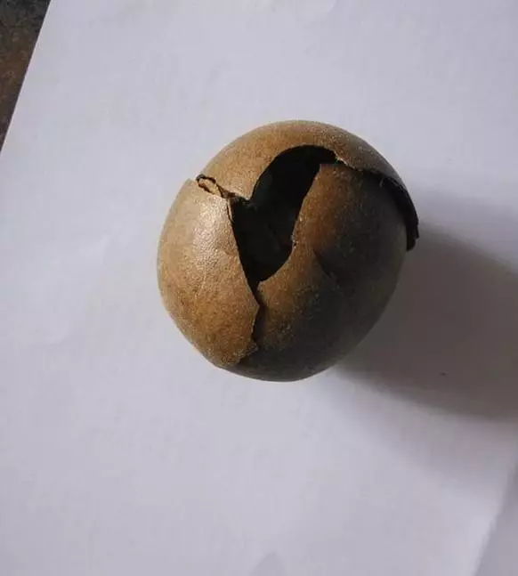 一碗粥瘦3斤：清熱潤肺、清腸通便、肌膚白嫩！