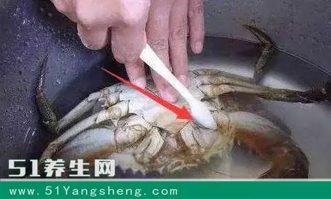 太震驚了!去菜市場,這6種菜千萬別買!