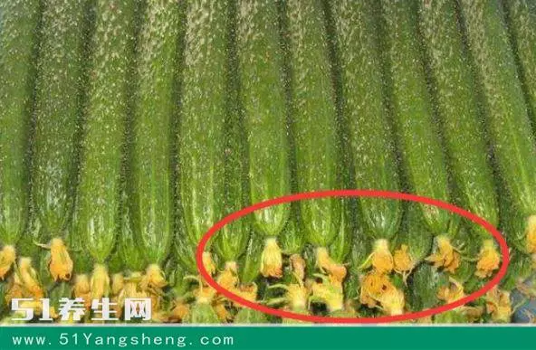 太震驚了!去菜市場,這6種菜千萬別買!