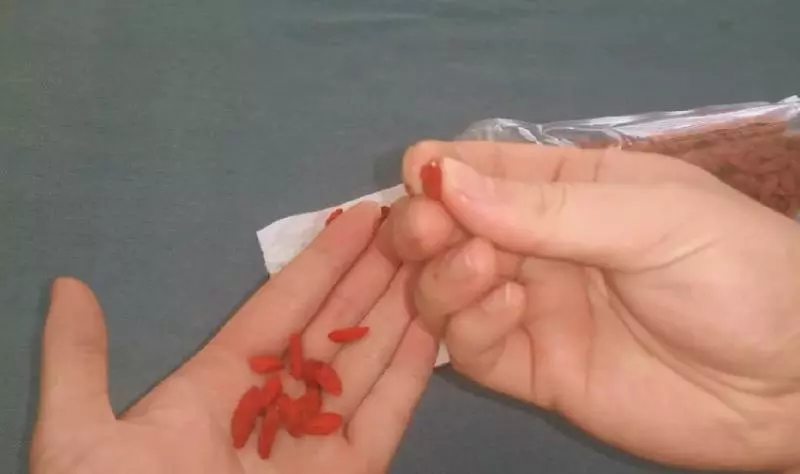 教你一招,一眼就能辨別染色枸杞,再也不怕上當受騙
