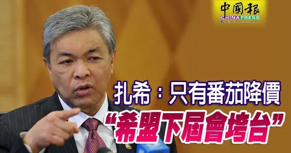 扎希:只有番茄降價 「希盟下屆會垮台」