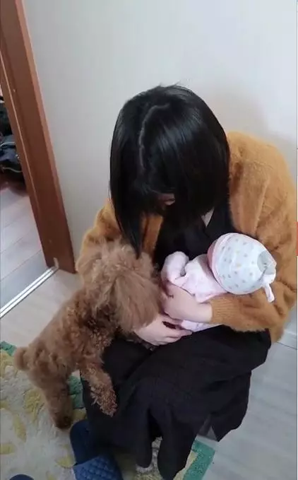 養了八年的泰迪,第一次和小主人見面像個孩子一樣,真讓人羨慕