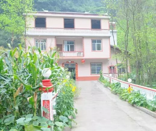 弟弟不撫養母親,我把母親接來住!三個月後,老公跟我提離婚